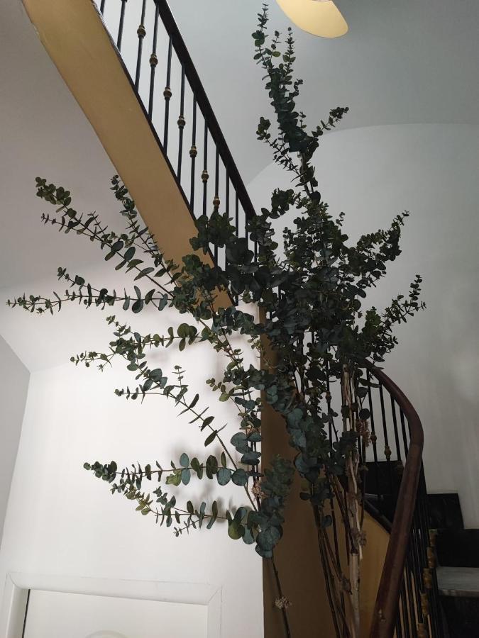 Apartamento Albarino 23 Novelda Luaran gambar